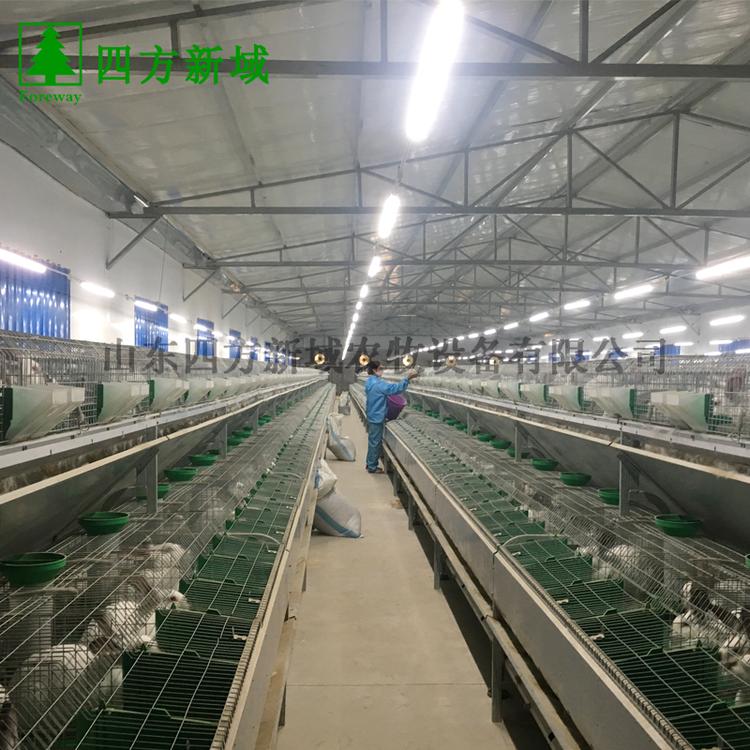 山东兔笼 双层兔笼 商品兔笼 厂家直供质量保证