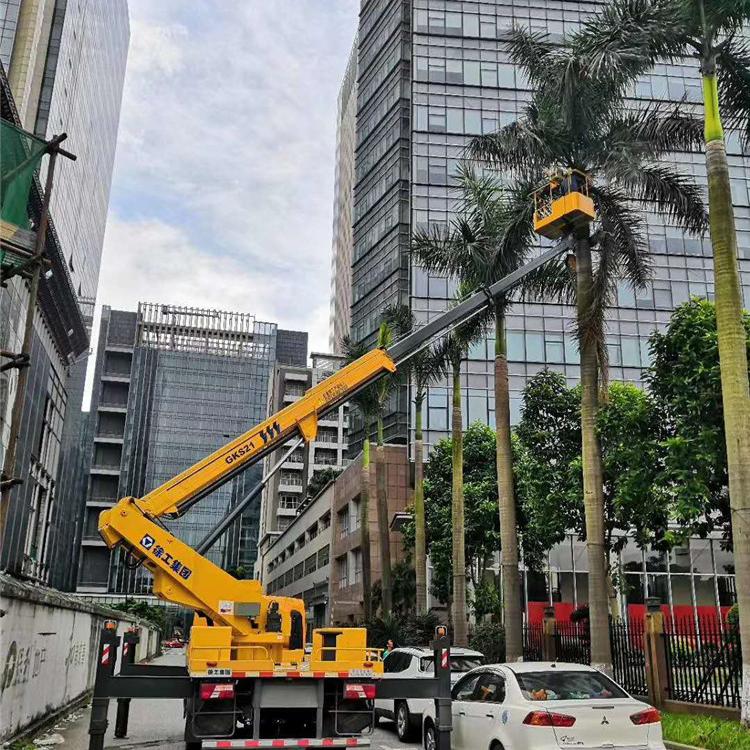 广州路灯安装车出租  从化高空升降车租赁 接路灯安装 徐工