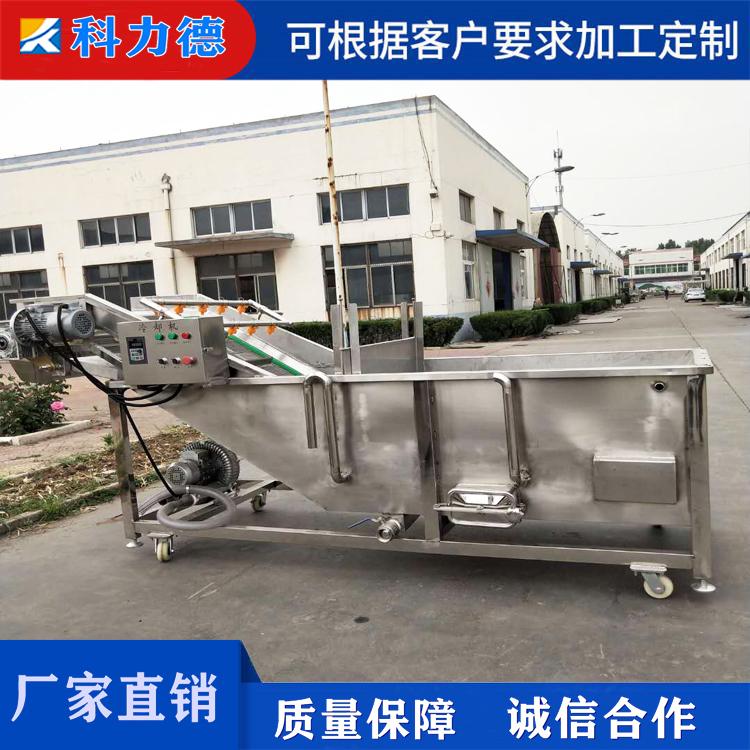 蔬菜清洗漂烫冷却流水线 苜蓿草漂烫杀青机 胡萝卜蒸煮漂烫机 净菜加工流水线
