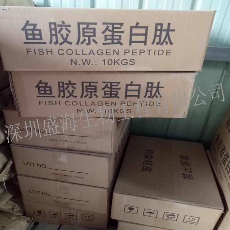 量大优惠 鱼胶原蛋白肽 食品级 深海鱼胶原蛋白粉