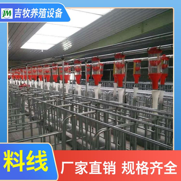 吉牧养殖 料线 猪用料线系统