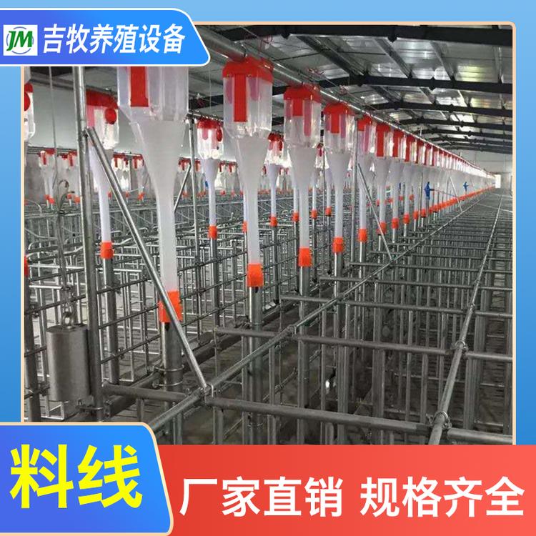 吉牧养殖  现代化养猪料线
