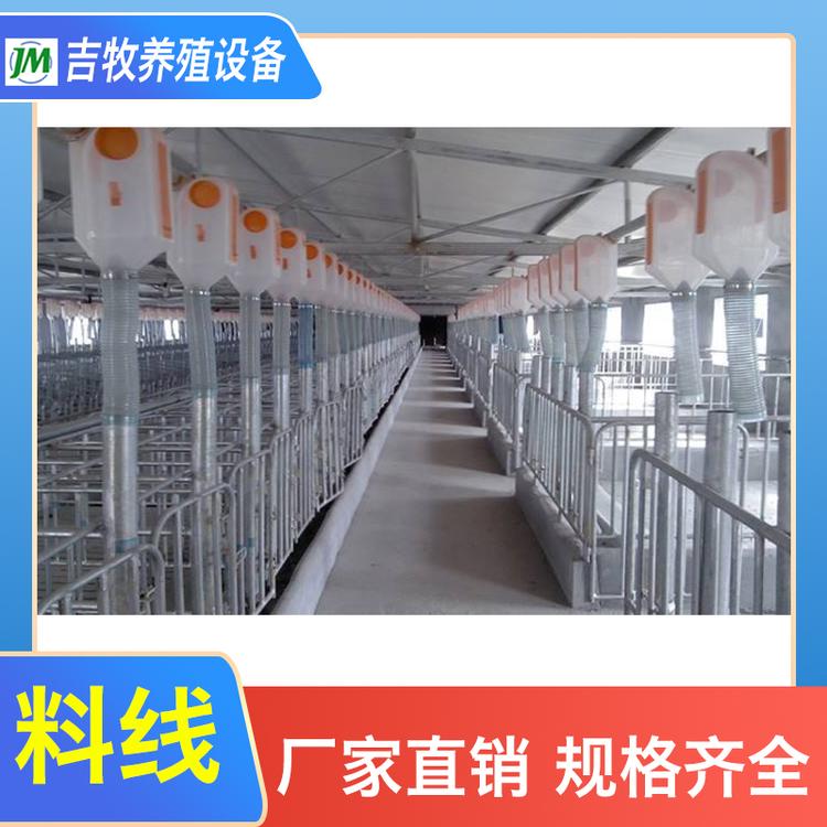 吉牧养殖 养猪全自动料线,自动饲喂