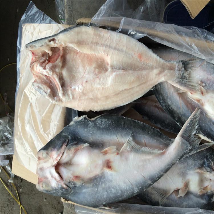 天津港越南巴沙鱼腩进口供应商厂号名单