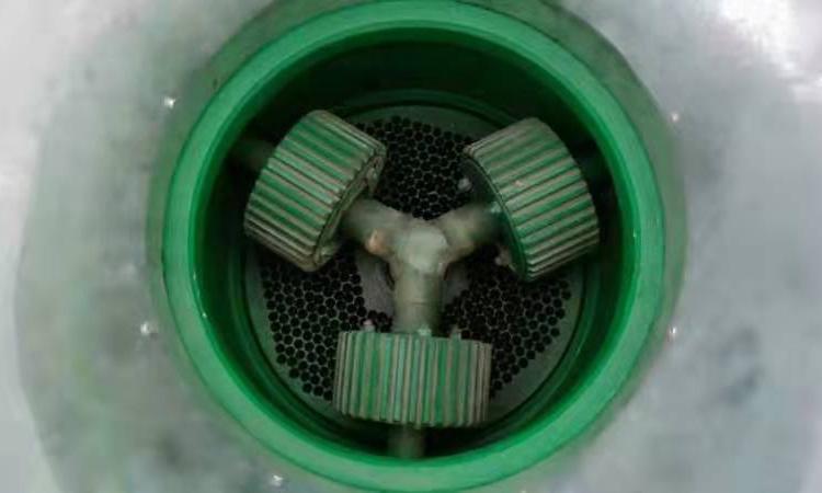 牛粪挤压造粒机 平模造粒机 有机肥生产设备