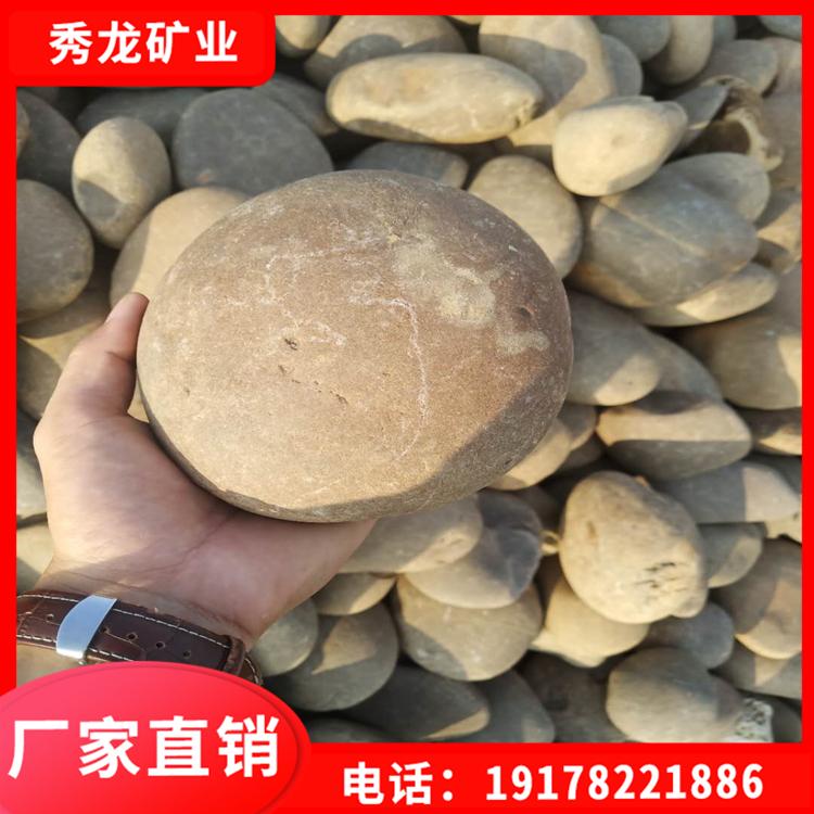 鹅卵石批发 天然鹅卵石园林石用料 普通鹅卵石 铺路装饰用