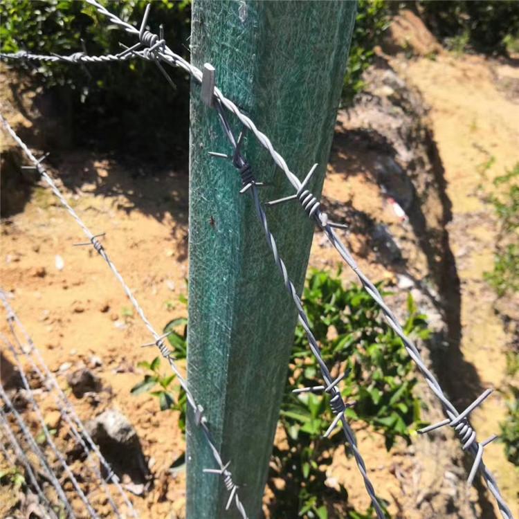飞腾丝网 刺绳立柱 铁路隔离栏复合立柱 厂家直销