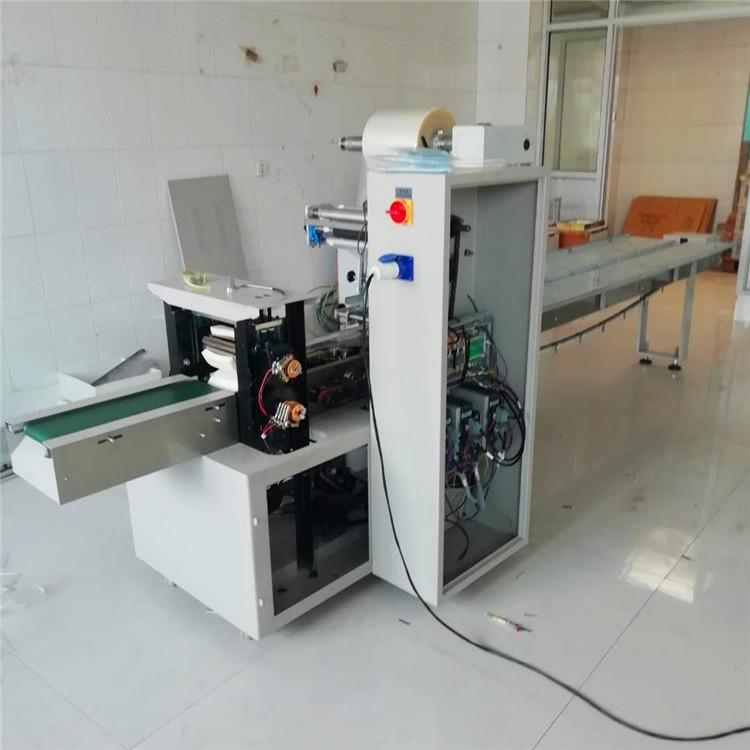 厂家直销全自动变频式食品理料线包装机伺服枕式包装机