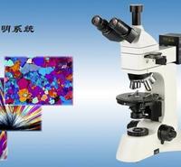 偏光显微镜SA-31XP透反射偏光显微镜