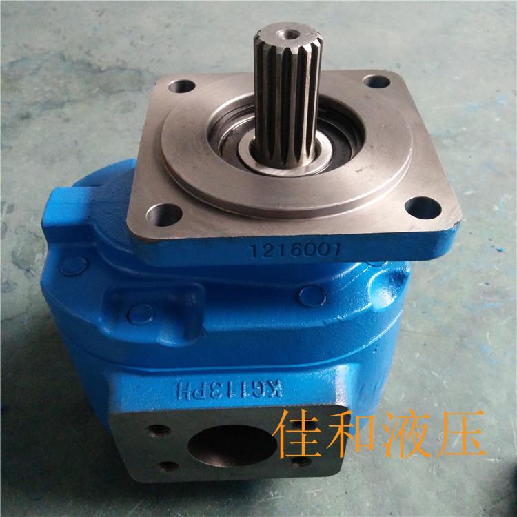 P7600-F140NP367 6G-R 供应柳工装载机用齿轮油泵