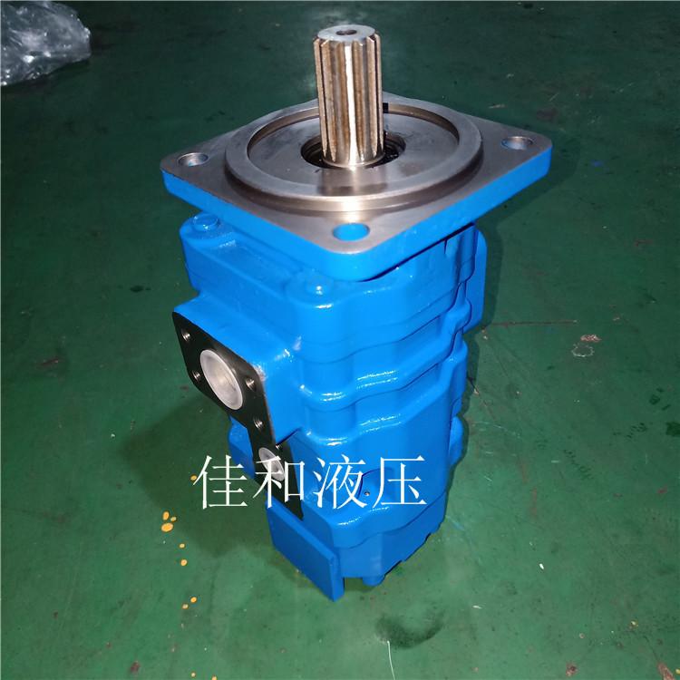 徐工50G用双联齿轮泵 803013093 1151412009
