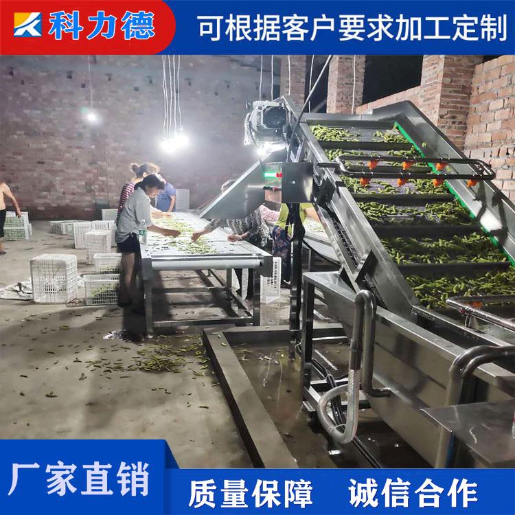 甜玉米粒风选机 不锈钢毛豆风选设备 全自动大枣风选机 连续式毛豆加工流水线
