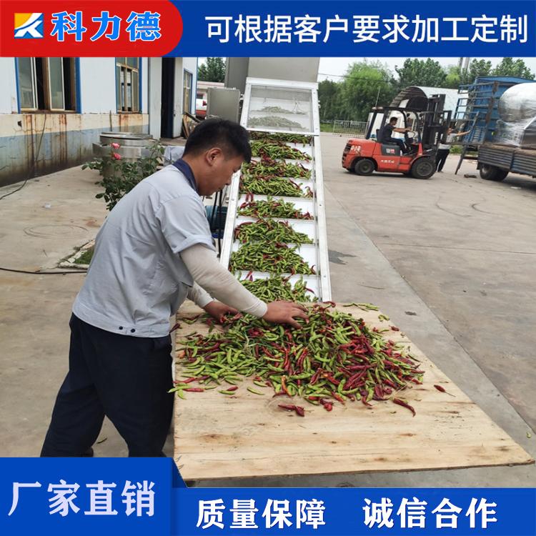 辣椒风选去杂机 商用连续式毛豆去杂清洗筛选流水线 不锈钢大小型风选机厂家直销