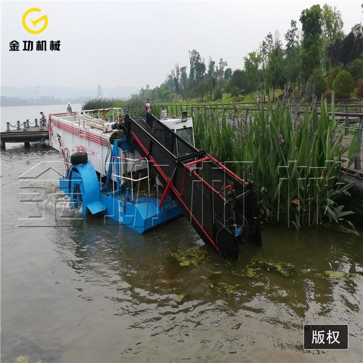 简易水上割草船 割草船出租出售垃圾打捞船价格优惠