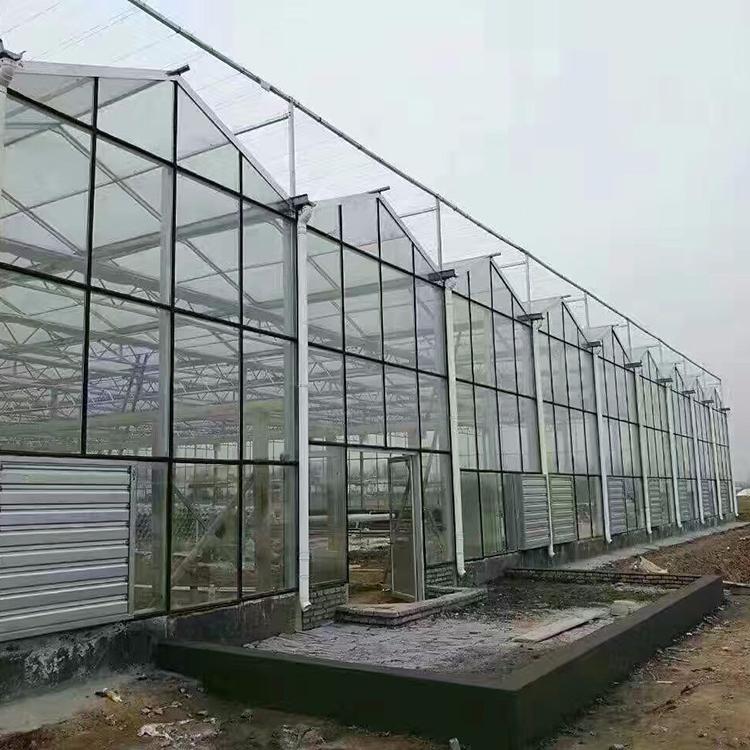 养殖玻璃大棚 设计养殖玻璃大棚 养殖玻璃大棚骨架