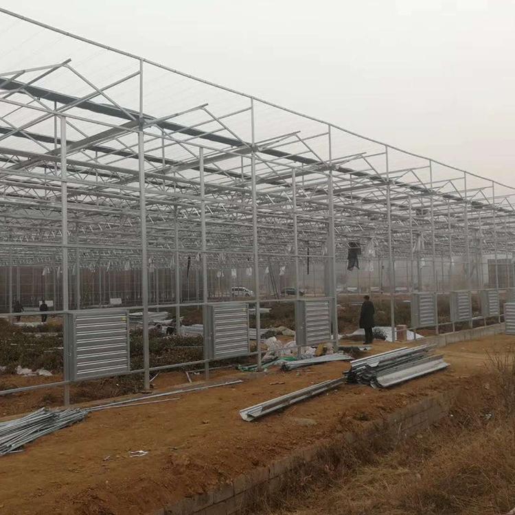 农业玻璃大棚 定制农业玻璃大棚 农业玻璃大棚公司