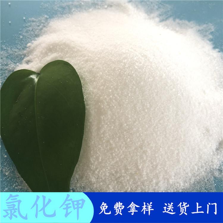 现货直销氯化钾  农业级氯化钾  98.5高含量肥料用氯化钾