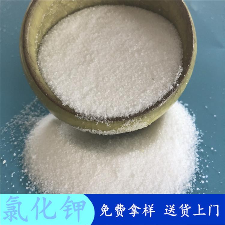 山东现货直销氯化钾  农业级98.5含量氯化钾  农业级氯化钾批发