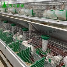 热销推荐欧式兔笼 双层兔笼 商品兔笼 四方新域厂家直销供应