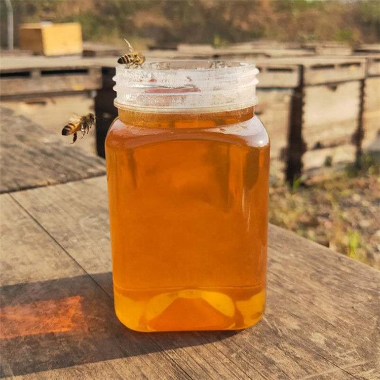 纯蜂蜜 甘肃蜂蜜供应