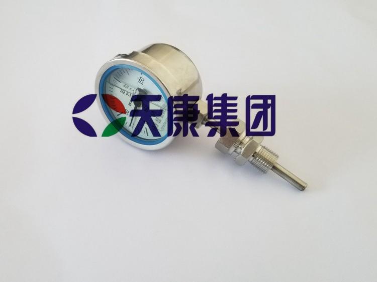耐震双金属温度计WSSN-581 现货供应
