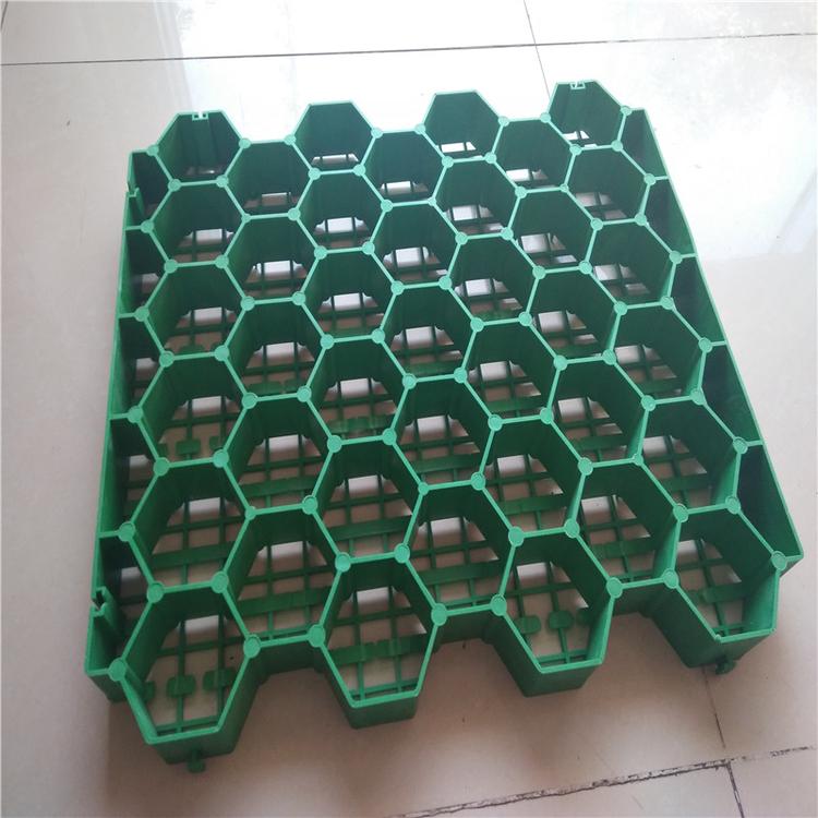 塑料植草格 金利厂家 小区停车场绿化植草格厂家批发24小时发货