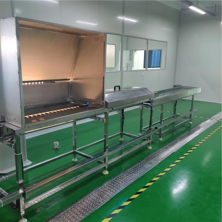 鸡蛋鸭蛋清洗流水线  全自动洗蛋机价格  可定制鸡蛋鸭蛋清洗设备