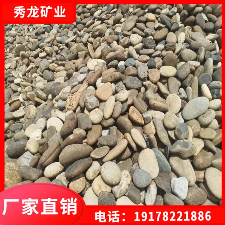 鹅卵石批发 天然鹅卵石 园林石用料 普通鹅卵石