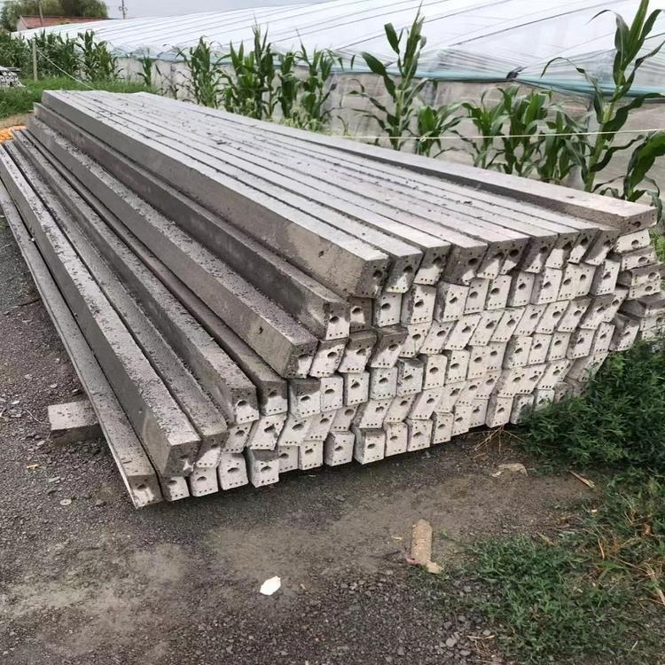 保质保量10X12方柱  水泥方柱供应