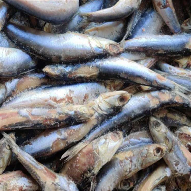 捷丰供应  鱼蛋白冲施肥肥料  蔬菜瓜果使用鱼蛋白化肥