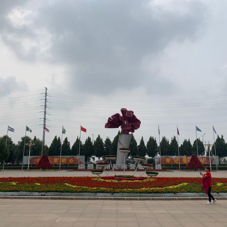 山东绿化工程承接  花卉租摆    小区绿化   公路绿化    花海工程