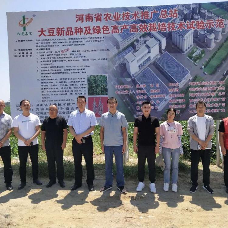 2020年郑1307高蛋白 高产大豆种子  宜机收 阳光嘉里 厂家直销