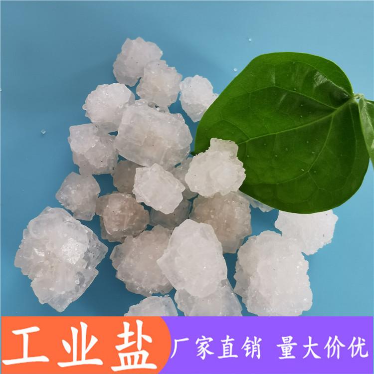 山东现货工业盐  厂家直销大颗粒工业盐  日晒原盐大颗粒盐批发