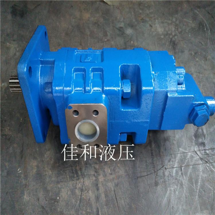 徐工装载机双联齿轮泵供应 P5100-F63NJ367 6/P124-G10G-1