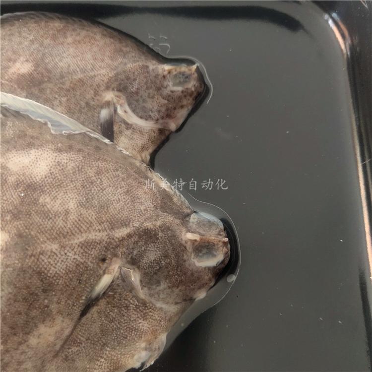 诸城斯美特供应质优价廉 海鲜类贴体真空包装机 冷冻海鲜贴体包装机