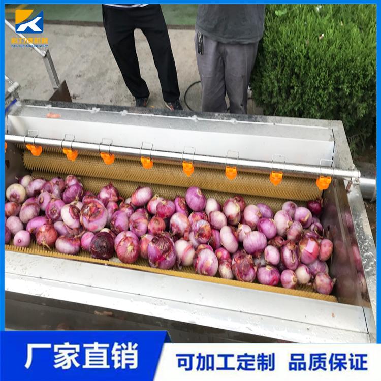 自动脱皮毛刷去皮机 白附子去皮清洗机 半夏黄精毛辊清洗机价格