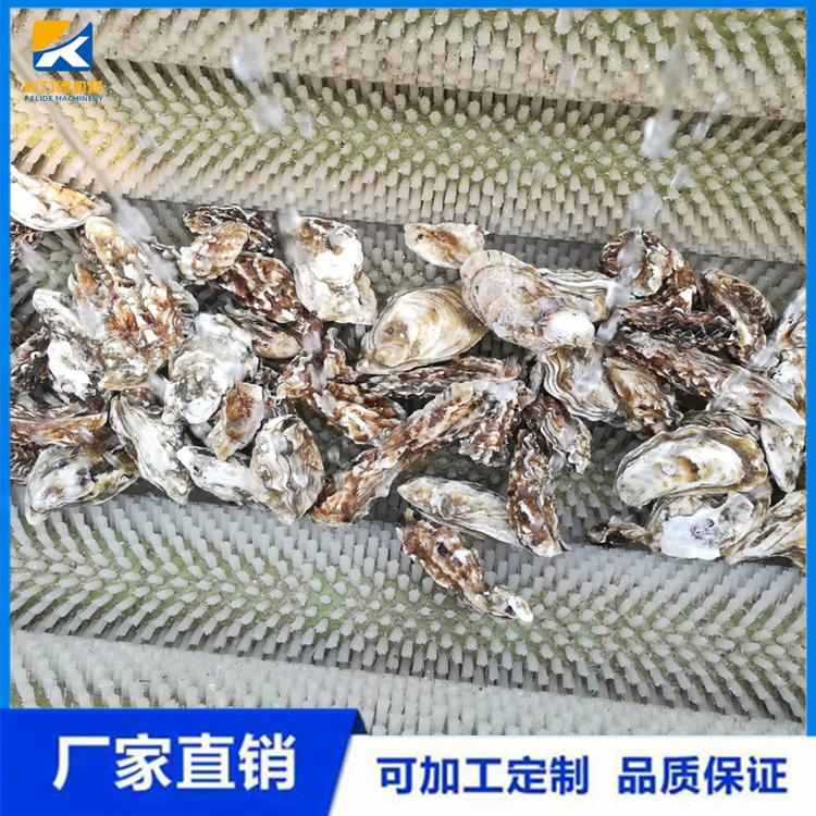 供应药材清洗机设备 白附子毛刷去皮清洗机 根茎类去皮机 平行毛刷洗泥机