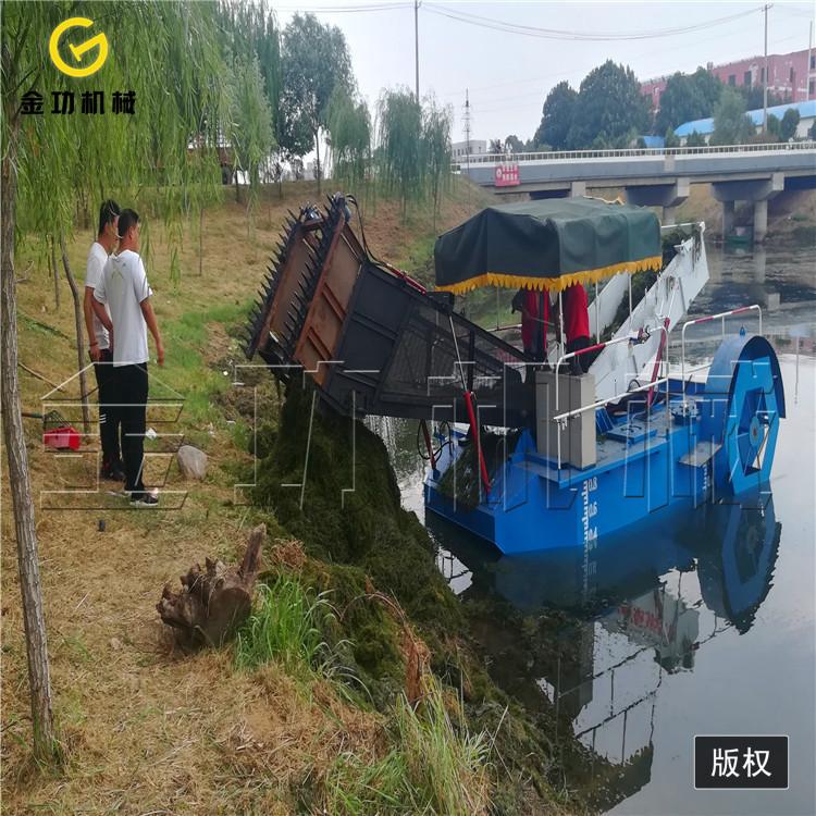 河道小型水葫芦打捞船   电动割草船 自动水葫芦粉碎打捞船