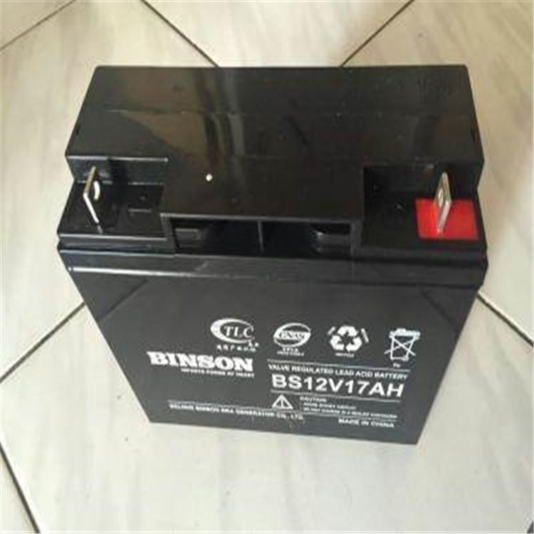 滨松蓄电池BS20-12  Binson铅酸蓄电池12V20AH  直流屏 UPS阀控式储能铅酸蓄电池