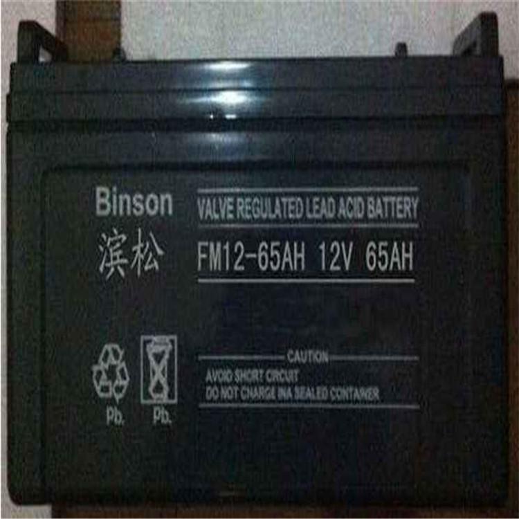 滨松蓄电池BS17-12  阀控式储能Binson铅酸蓄电池12V17AH  直流屏UPS蓄电池