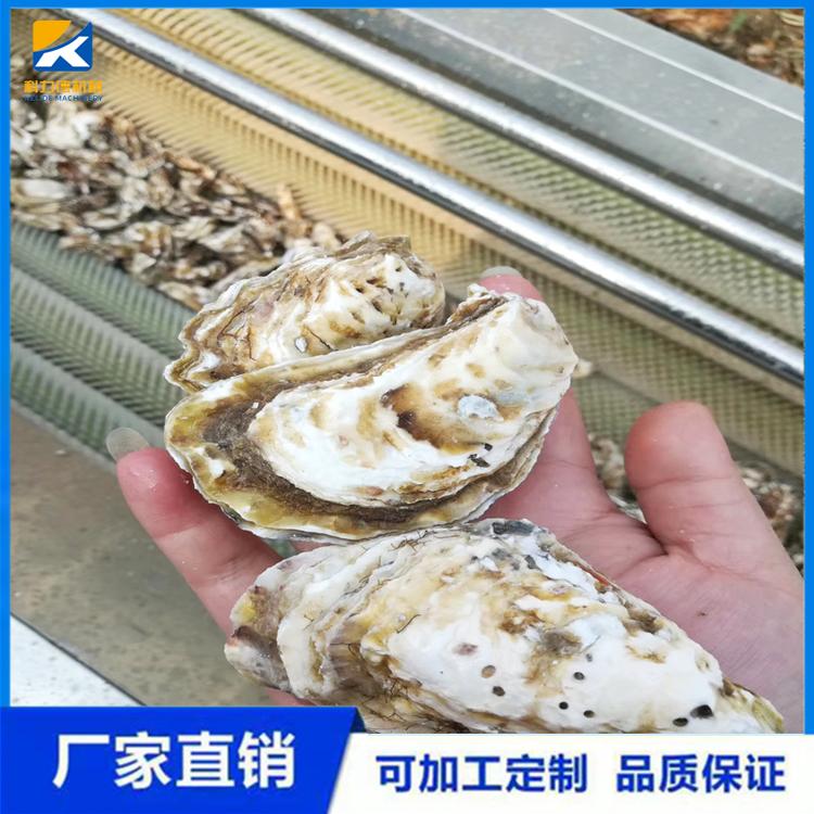 热销白附子天麻脱皮机 多功能黄精桔梗全自动毛刷清洗机 咸菜头萝卜毛辊清洗设备