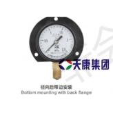安徽天康厂价直销碳钢普通压力表