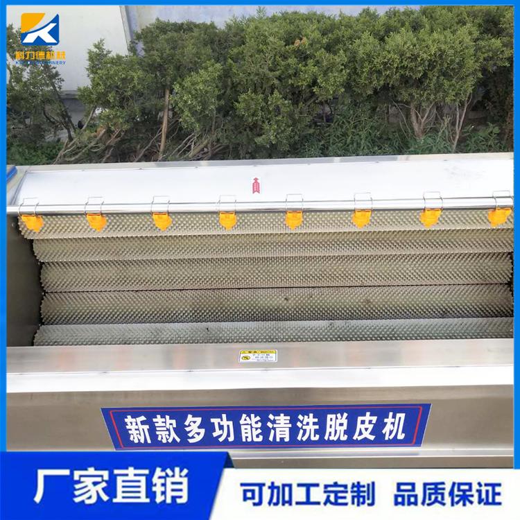 黄精白附子毛刷清洗机 沙参丹参毛辊去皮机 天麻毛辊洗泥机 红薯甘薯脱皮机