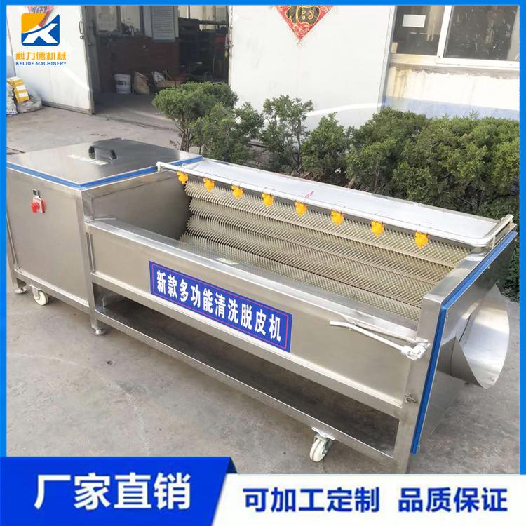 半夏去皮清洗机 不锈钢当归地环清洗机 天麻毛刷清洗设备 多功能毛辊清洗机
