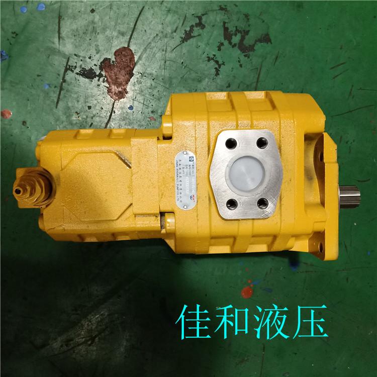 供应厂家直销徐工装载机双联齿轮泵CBGJ2050/1010-XF左平