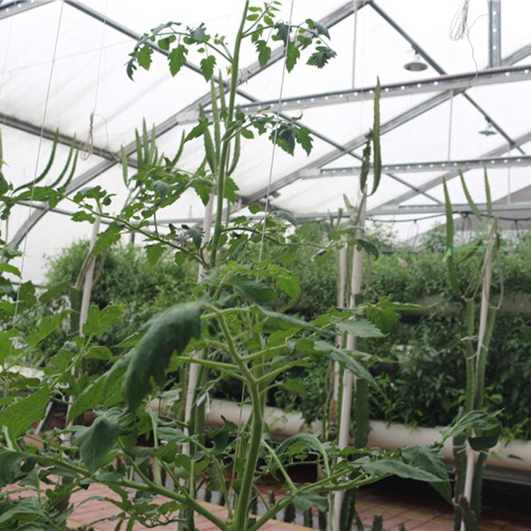 新型海容模块 eps模块 欢迎咨询 种植大棚设计