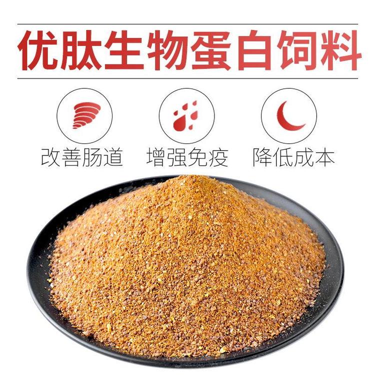生物发酵饲料  山东饲料  酿酒酵母培养物    干饲料原料
