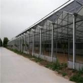玻璃温室建造 玻璃温室安装 玻璃温室大棚造价