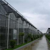 口碑好的玻璃温室建造公司 玻璃温室承建 北方园艺温室