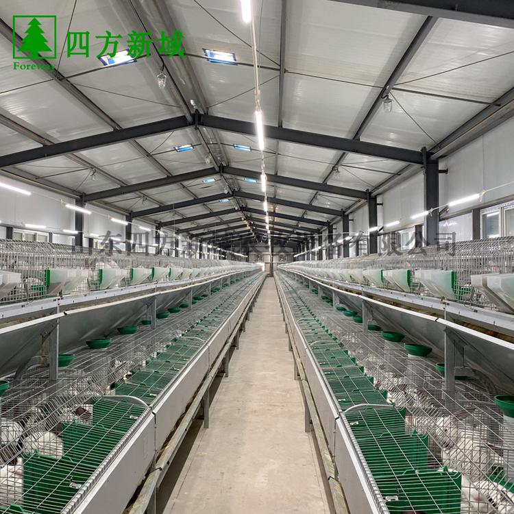 欧式兔笼 双层兔笼 特惠价出售 山东四方新域生产制造